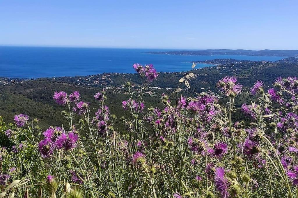 Aphrodite By Kleidos - Tres Belle Maison 6 P Climatisee Golfe Sainte Maxime روكبرون-سور-أرجينس المظهر الخارجي الصورة
